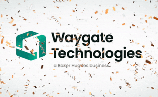 工業(yè)內窺鏡廠家Waygate Technologies介紹